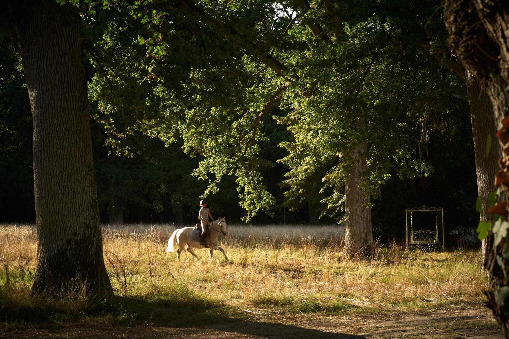 Les Sources De Cheverny Exterior foto